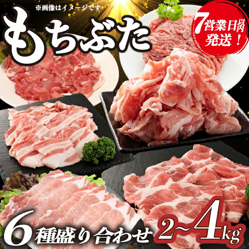 【ふるさと納税】 スピード配送 7日以内発送 豚肉 和豚 もちぶた バラエティパック 2kg 4kg 肩ロース バラ ロース もも ひき肉 小間切れ 食べ比べ ブランド豚 和豚もちぶた 豚肉 肉 にく 肉料理 夕食 ポーク おかず 小分け 便利 肉の片山 新潟県 新発田市 katayama007P