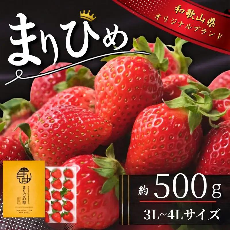 いちご まりひめ 3L～4Lサイズ 約500g（12粒） 【tcs002】