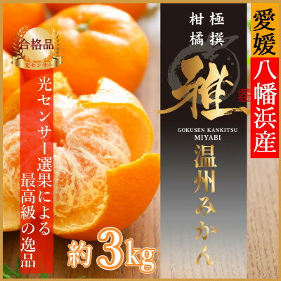 【ふるさと納税】極撰柑橘【雅】光センサー合格品「八幡浜温州みかん」約3キロ 【C39-53】_ みかん ミカン 柑橘 温州 果物 くだもの フルーツ 旬 愛媛 コク 甘み 国産 産直 産地直送 S M L サイズ限定 【配送不可地域：離島】【1464138】