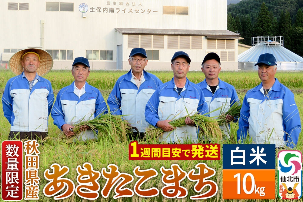 
                  【白米】令和7年産 あきたこまち 10kg（10kg×1袋）精米 秋田県仙北市産 10キロ　生保内南
                
