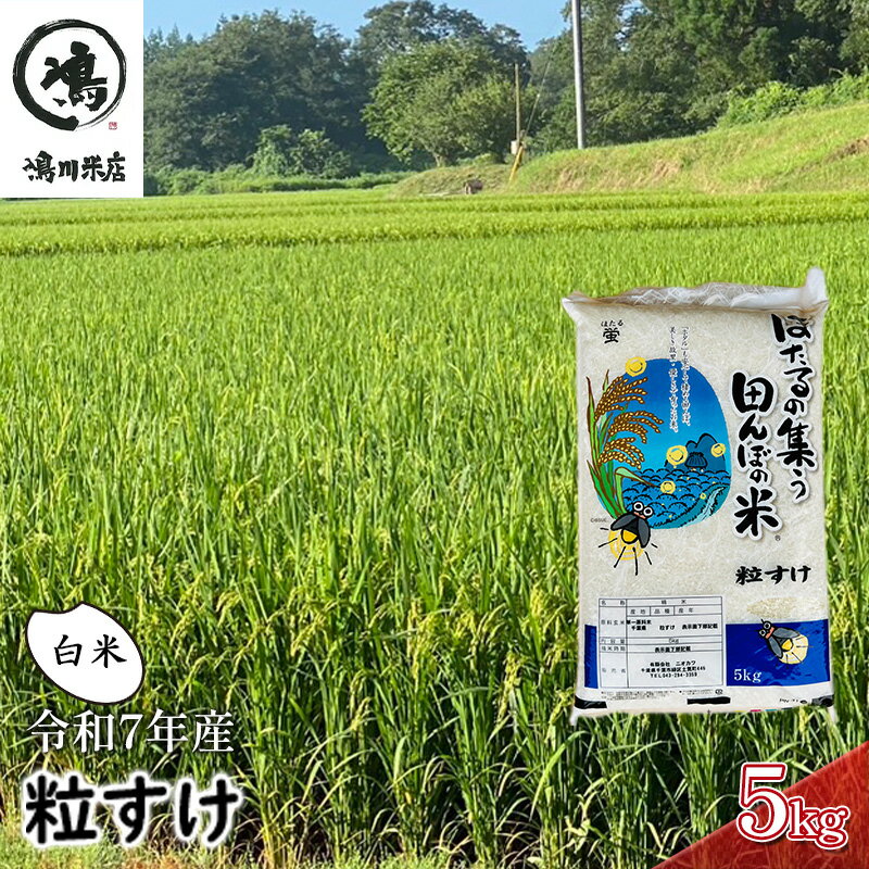 【ふるさと納税】新米　令和7年 粒すけ 5kg 千葉産 白米　【 お米 こめ コメ おこめ 】