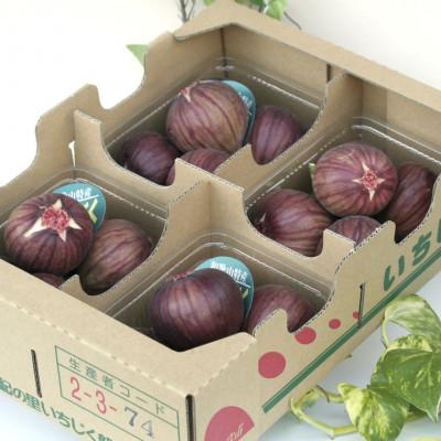 ふるさと納税 紀の川市 和歌山県産新鮮いちじく約300g×4パック入り |  | 02