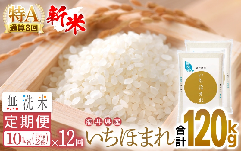 
                  【新米】令和8年産 無洗米 定期便 12回 いちほまれ 10kg × 12回（計120kg）福井県産 特A通算8回！【お米 コメ kome 12ヶ月連続 計120キロ 精米 白米 便利 時短】 [e27-o011]
                