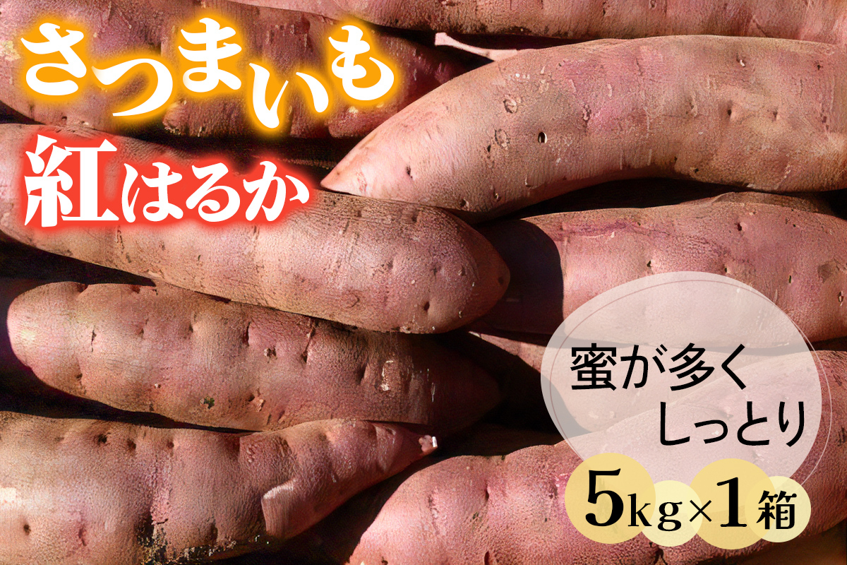 
            さつまいも (紅はるか) 5kg 奥野農園｜農家 直送 サツマイモ スイーツ 野菜 しっとり ホクホク 焼き芋 やきいも 料理 袖ケ浦 千葉 [0421ch]
          