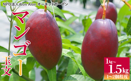 Alon Alon マンゴー（玉文）栽培期間中農薬不使用 1kg～1.5kg【6月中旬～7月下旬頃発送】