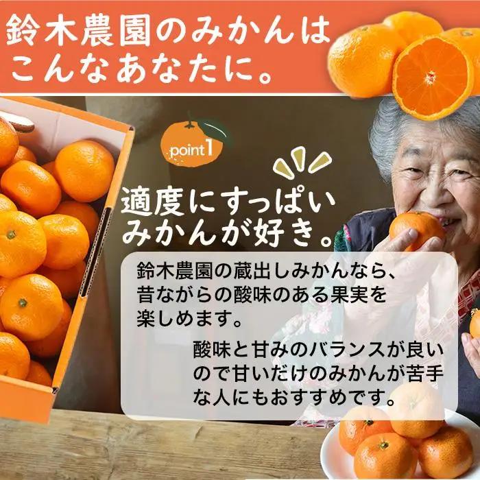 訳あり みかん 蔵出しみかん 5kg 鈴木農園