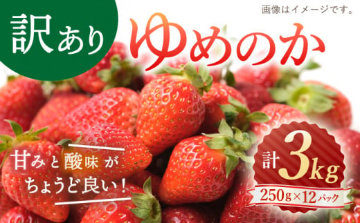 いちご 【先行予約】【 訳あり 】 ゆめのか いちご 約3kg（250g×12パック） 長崎 西海 イチゴ いちご 苺 ゆめのか いちご 訳あり 家庭用   ＜川原農園＞ [CDR006]