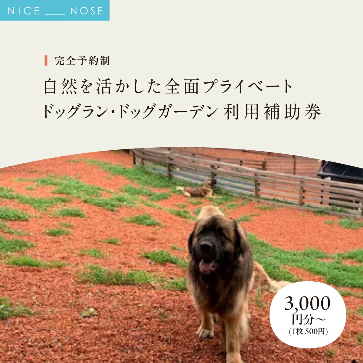 【ふるさと納税】【完全予約制】自然を活かした全面プライベートドッグラン・ドッグガーデン 利用補助券 選べる利用額3,000円分～(1枚500円) | Bless Dog Oasis | 犬 愛犬 チケット 券 貸切 プライベート 広い 体験 レジャー 自然 運動 アウトドア | 大阪府 能勢町 送料無料