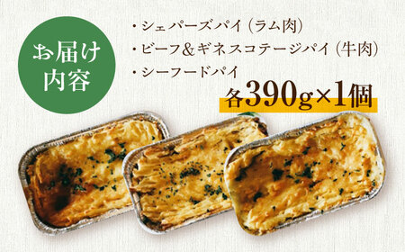 パイ パイ3種テイスティングセット 島根県松江市/アーティストリー&アイ合同会社（巨人のシチューハウス）[ALEB001] パイ パイ
