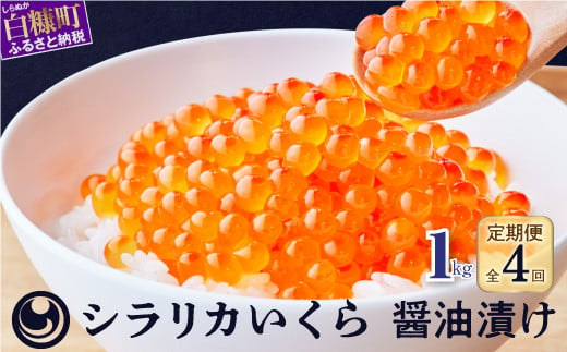 
年4回!シラリカいくら(醤油味)定期便【1kg(250g×4)×4回】
