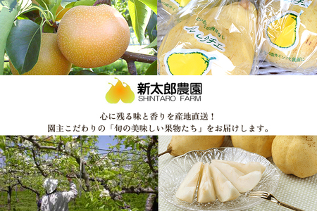 【2026年先行予約】【贈答用】幻の洋梨 ル・レクチェ4kg（9～14玉） 《12月上旬から順次発送》 化粧箱入り 果物 フルーツ ギフト 贈答 加茂市産ル・レクチェ 梨 西洋梨 加茂市 新太郎農園