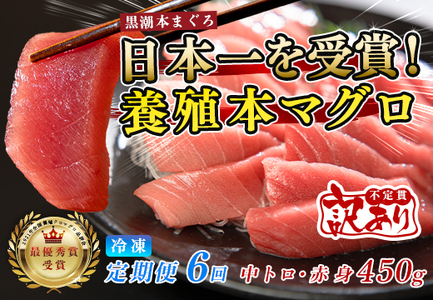 訳あり まぐろ マグロ 本鮪 黒潮本まぐろ 赤身 中トロ 定期便 6回 計450g × 6回 刺身 さしみ 最優秀賞 全国養殖クロマグロ品評会 受賞 魚 魚介類 海鮮 柵 サク 冷凍 お取り寄せ 産地直送 ギフト 贈答  高知県 大月町