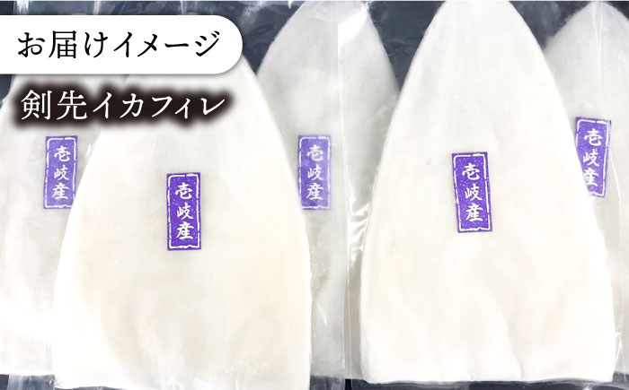 ケンサキイカ 刺身 & 一夜干し セット 剣先イカ 烏賊 《壱岐市》 【一支國屋】 おつまみ フィレ [JCC009] 18000 18000円