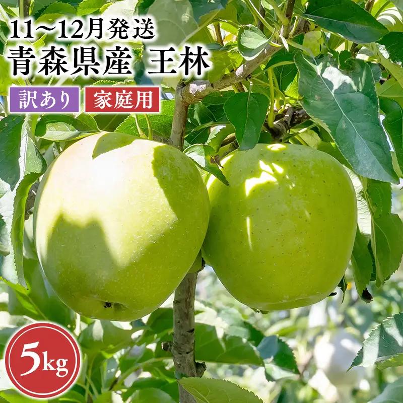 りんご 家庭用 王林 約5kg【hi-0068-026】
