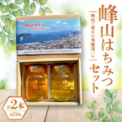 ふるさと納税 香川県 峰山ハチミツ大びん2本セット(高松景色箱入り)