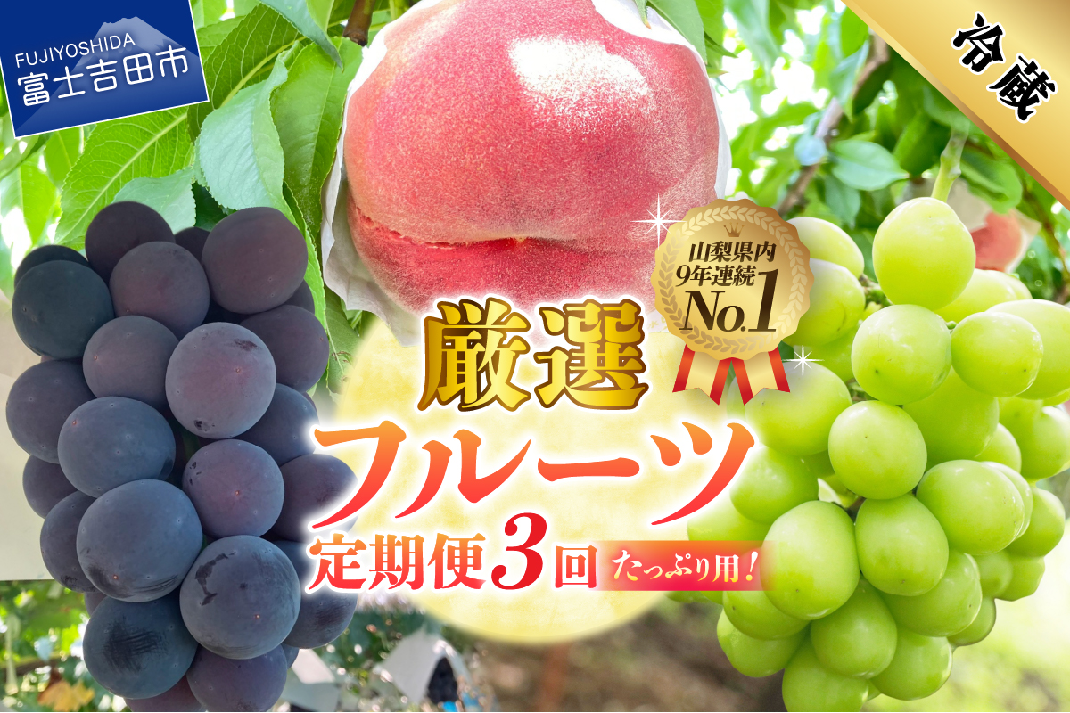 【2026年発送】【定期便】 厳選 フルーツ3回定期便