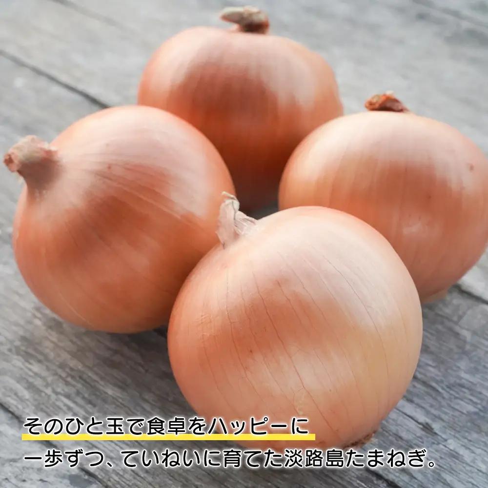 【新玉ねぎ】淡路島たまねぎ 歩-AYUMU- 10kg【発送時期：2026年3～6月頃】玉ねぎ