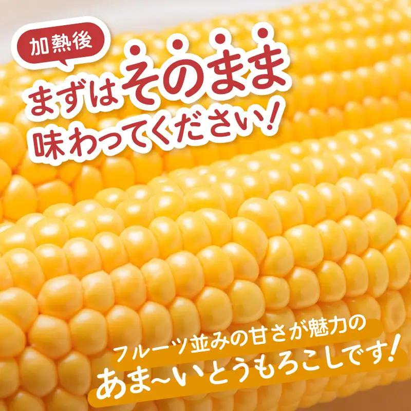 【先行予約】秋とうもろこし 5本 おおもの 黄色 朝採り ／ 期間限定 数量限定 ハウス栽培 産地直送 甘い スイートコーン とうもろこし 野菜 あわら ※2026年10月10日より順次発送 [aw0