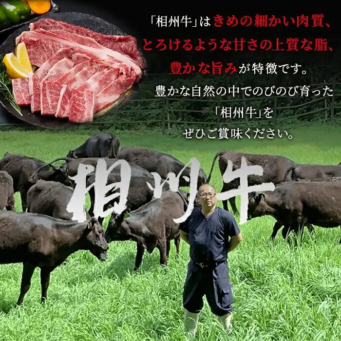 【国産希少牛】 相州牛（すき焼き用） 2.0kg 南足柄ブランド 国産牛 肉 2キロ ふるさと納税【すき焼き 牛肉 お肉 ブランド牛 神奈川県 南足柄市 】