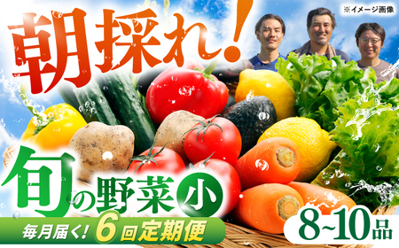 定期便 土佐の太陽をいっぱいに浴びた旬の野菜セット小 (6回配送) / 野菜 やさい 定期便 6回 セット 詰め合わせ 朝採れ 新鮮 旬 無農薬 レシピ 冷蔵 高知 土佐 【土佐野菜】 [ATBA006]