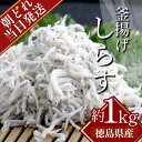 【ふるさと納税】しらす 水揚げ当日ゆでたてを発送！ 冷蔵 1kg（500g×2パック）(ドサッと1kg) 瀬戸内海 四国 徳島 小松島 ｜ 水揚げ 釜揚げ 当日発送 ｜ 太平洋 瀬戸内海 結ぶ 紀伊水道 鳴門 海域 ｜ しらす丼 特産品 海産物 新鮮 惣菜 国産 鮮度 | 新米 白米 玄米 卵ご飯