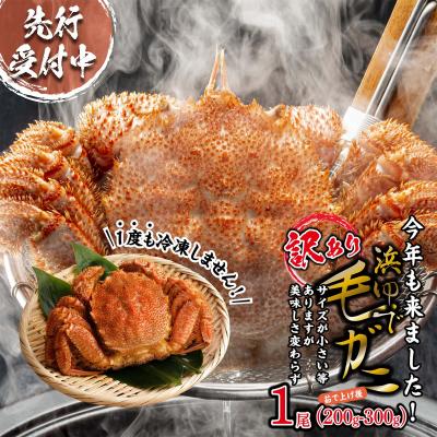 ふるさと納税 新ひだか町 <2027年2月上旬より発送開始> 訳あり北海道産浜ゆで毛ガニ1尾(200g〜300g)<先行受付>