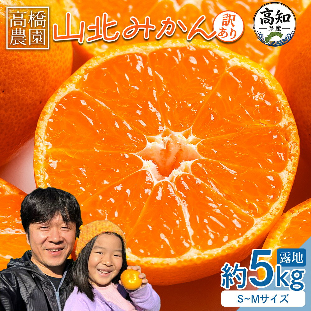 【ふるさと納税】【2026年11月中旬より順次配送】家庭用 山北みかん（露地・S〜Mサイズ）約5kg - 大容量 内容量 訳あり 小玉 露地栽培 柑橘 果物 フルーツ ミカン 蜜柑 季節限定 家庭用 高橋農園 箱買い 甘い 国産 特産品 5キロ 高知県 香南市 常温