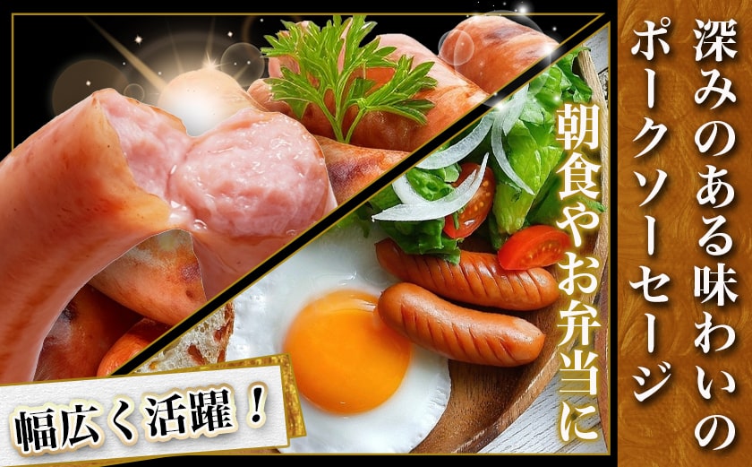 黒豚肩ロースしゃぶしゃぶ用500g&ポークソーセージセット_AA-N405