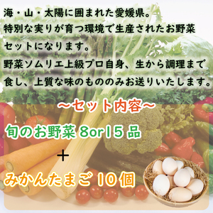 【野菜ソムリエ上級プロ厳選】 野菜セット 15品 ( みかんたまご 10個入り ) | 新鮮 野菜 セット 詰め合わせ 卵 たまご 旬 産地 直送 国産 季節の野菜 愛媛県 松山市