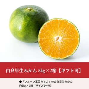 【ふるさと納税】由良早生みかん 5kg×2箱【ギフト可】  秋 旬