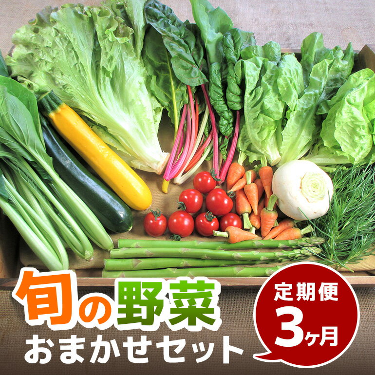 【ふるさと納税】旬の野菜・定期便（3か月）【配達不可：北海道・沖縄・離島】 セット 詰合せ 3カ月 3回