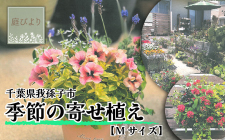 季節の寄せ植え Ｍサイズ《30日以内に出荷予定(土日祝除く)》