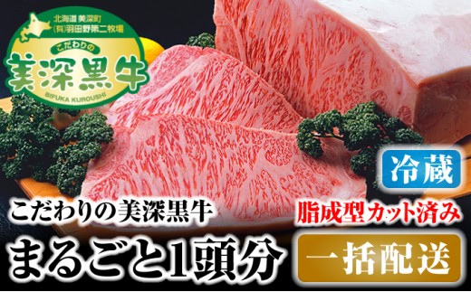 
[№5894-0245]北海道 こだわりの美深黒牛1頭分 成型脂カットあり（冷蔵）
