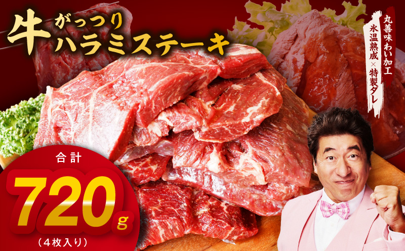 【スピード発送】がっつり！牛ハラミステーキ 720g【氷温熟成×特製ダレ 小分け 360g×2パック 牛肉 すてーき 焼くだけ 大阪 泉佐野 大阪府 泉佐野市】