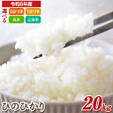 【ふるさと納税】令和6年産ひのひかり 20kg 10kg×2 選べる 精米度合 前田農園《10月末-1月末頃出荷》和歌山県 紀の川市 米 白米 ひのひかり ヒノヒカリ 和歌山県奨励品種 新米