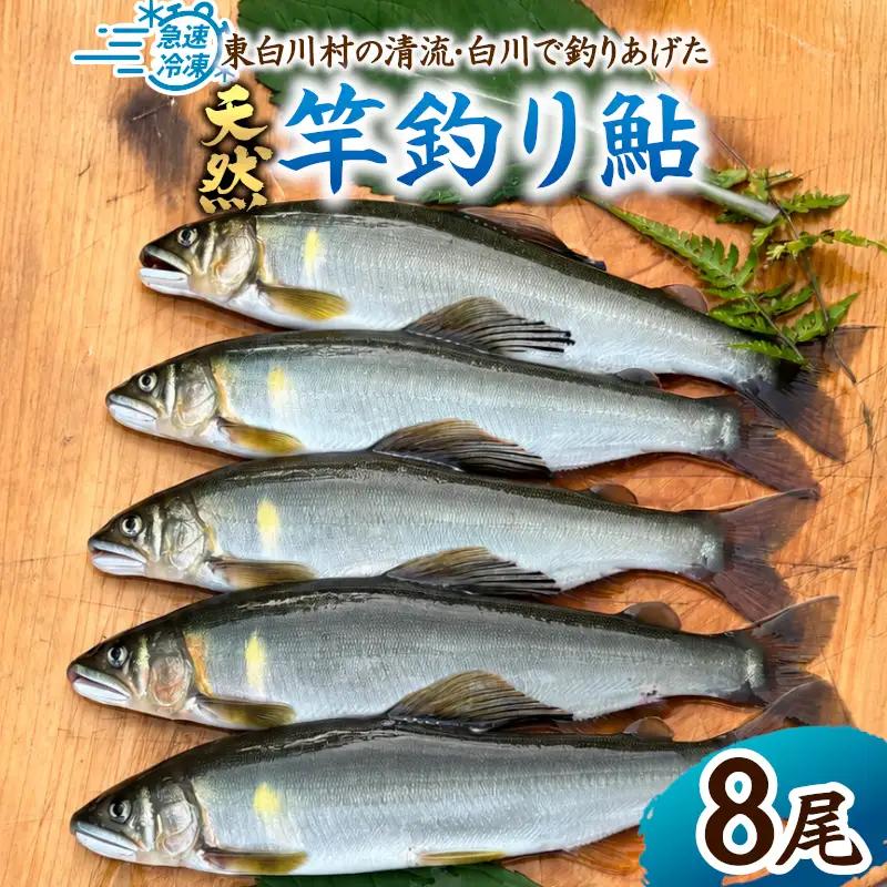 清流白川 天然鮎 8尾 冷凍 竿釣り 鮎 あゆ アユ 川魚 天然 清流 魚介 おかず おつまみ グルメ 食品 BBQ バーベキュー 冷凍 真空パック 岐阜県産 東白川村 川釣り