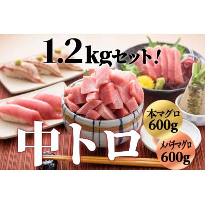 ふるさと納税 茂原市 豪華!中トロセット!マグロ 中トロセット (本マグロ600g+メバチマグロ600g)