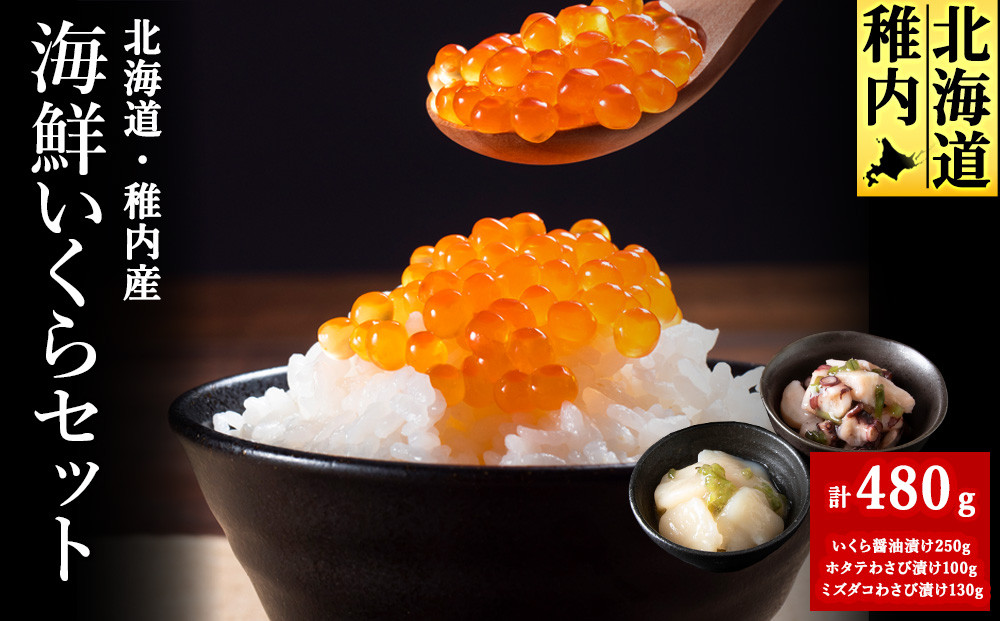 
             【12月23日決済分まで年内発送】稚内いくら海鮮セット(いくら醤油漬け&わさび漬け2種)
          