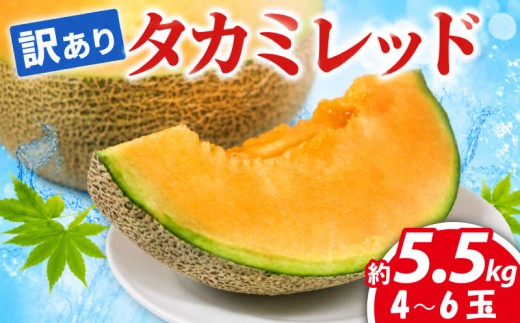【 2027年先行予約 】 メロン 訳あり 赤肉 約 5. 5kg 4～6玉 2027年発送 産地直送 飯岡メロン タカミメロン 貴味メロン 高級 ブランド 糖度 貴味 タカミ ブランドメロン 果物 フルーツ おすすめ 人気 デザート 千葉県 旭市 飯岡 石毛農園 igf013