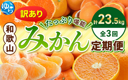 みかん定期便 計23.5kg 訳あり 柑橘【tkb113】