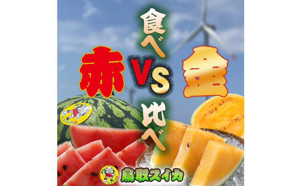 1254.【先行予約】鳥取スイカの食べ比べ！2玉セット（赤肉すいか＆金色羅皇） 313726_CK005