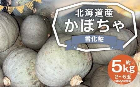 北海道産 かぼちゃ （雪化粧） 約5kg セット 山田農場 南瓜 カボチャ 冬至用かぼちゃ 野菜 やさい 北海道 京極町 常温 【2026年10月上旬-11月上旬迄発送予定】