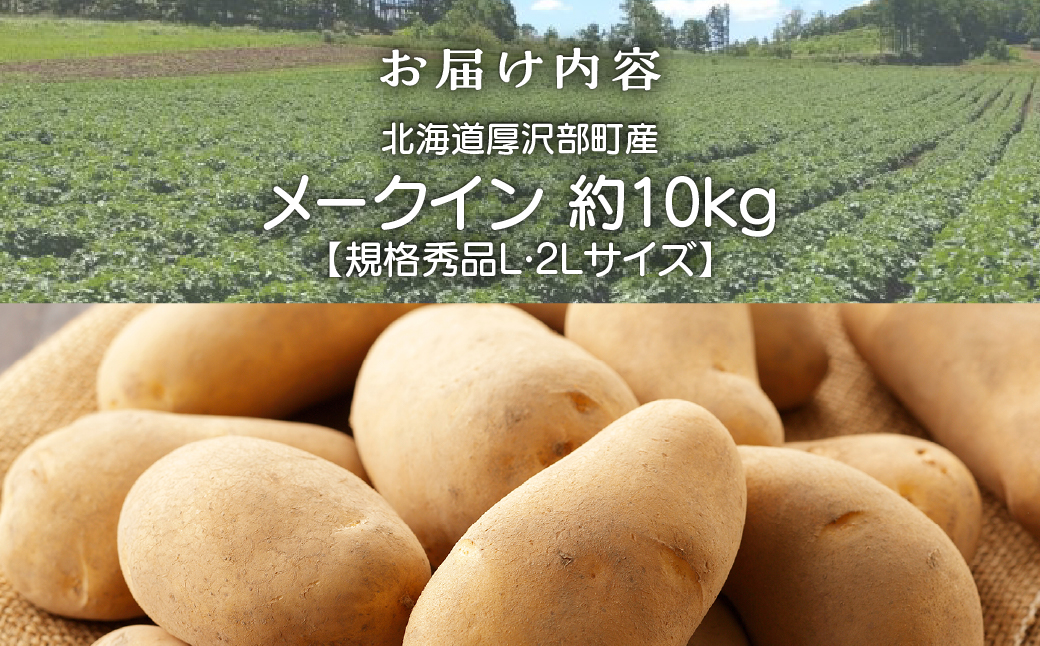 【2026年9月下旬より発送】北海道厚沢部町産 メークイン 約10kg【規格秀品L・2Lサイズ】 ASO011