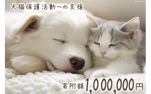 犬猫保護活動への支援 100万円分 [NPO法人セブンデイズ 福岡県 筑紫野市 21760892] 保護 動物 犬 猫 犬猫 保護犬 支援 応援 愛護