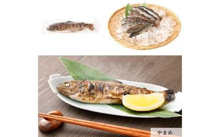 阿蘇から届く かわべの湧水やまめ enjoyセット 川魚 やまめ 熊本県 高森町