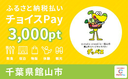 
館山市チョイスPay 3,000pt（1pt＝1円）【会員限定のお礼の品】
