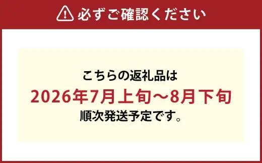 岡山白桃 （ 中世 ） 8玉 （ 1玉 220g以上 ） 白桃 くだもの 果物 国産 岡山県産 果汁 糖度 果肉 フルーツ 果皮 有袋栽培 食感 果実 もも モモ 桃 【 2026年7月上旬～8月下旬
