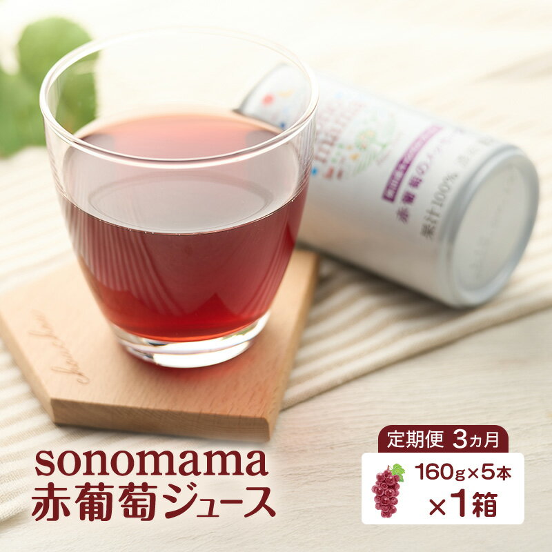 【ふるさと納税】《 定期便 3ヵ月 》 赤葡萄ジュース「sonomama」（160g×5本）×1箱 ぶどう ブドウ ジュース ぶどうジュース 飲料