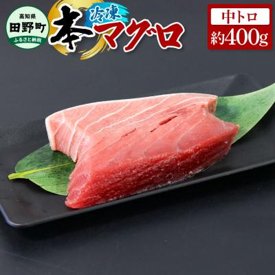 ふるさと納税 田野町 【四国一小さなまち】本まぐろ 中トロ　約400g(約200g×2柵)★冷凍★