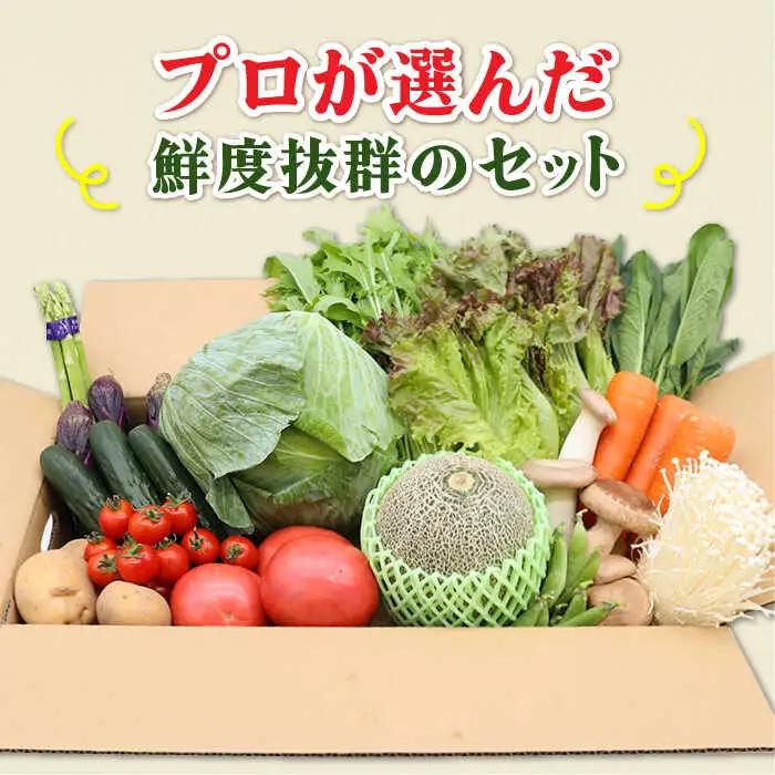 【3回定期便】野菜定期便15品目以上 吉岡青果[SCZ023] 野菜定期便